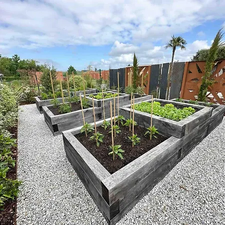 Eden - Le Luxe Pres Des Vignobles Charentais Villa Saint-Ciers-du-Taillon