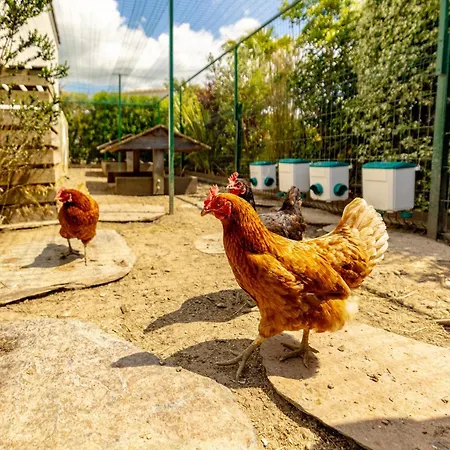 Eden - Le Luxe Pres Des Vignobles Charentais Villa Saint-Ciers-du-Taillon