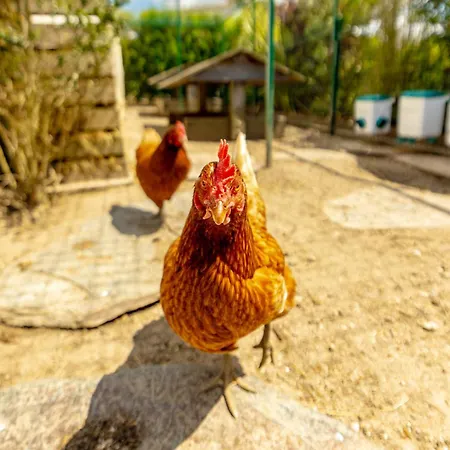 Villa Eden - Le Luxe Pres Des Vignobles Charentais